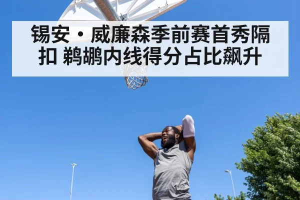 锡安·威廉森季前赛首秀隔扣 鹈鹕内线得分占比飙升
